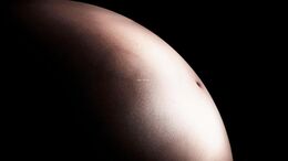 HAY VIDA / NO ESTAMOS SOLOS / UN GRAN PASO