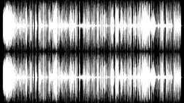 GALLEGOS / JAPONES / LLAMEN A...