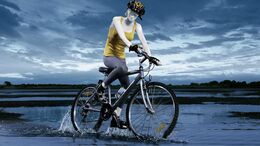 TENIS / CASA / BICICLETA / CHEFF