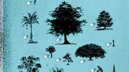 ARBOLES