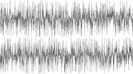 PELUQUERIA - CAMPAÑA NEGADORES